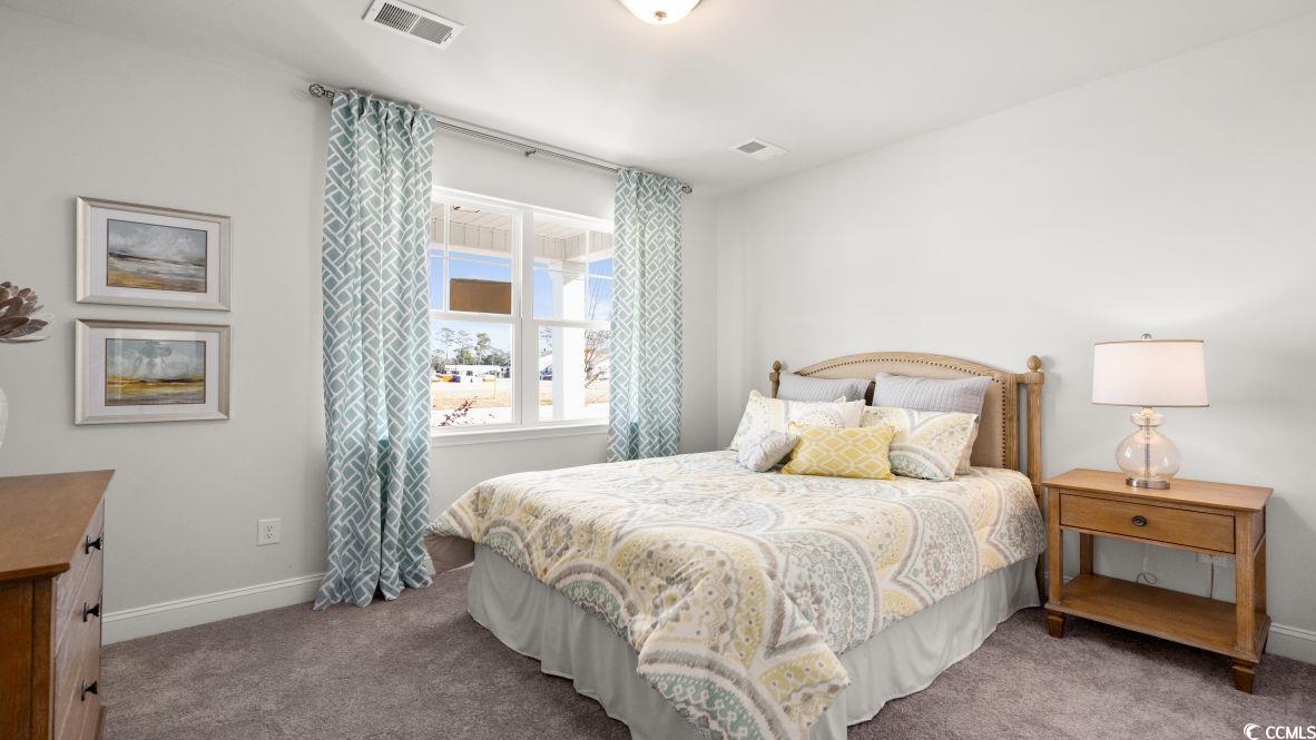 737 Doonbeg Court Conway, SC 29526 - Photo 23 of 33 Carpeted bedroom featuring baseboards
