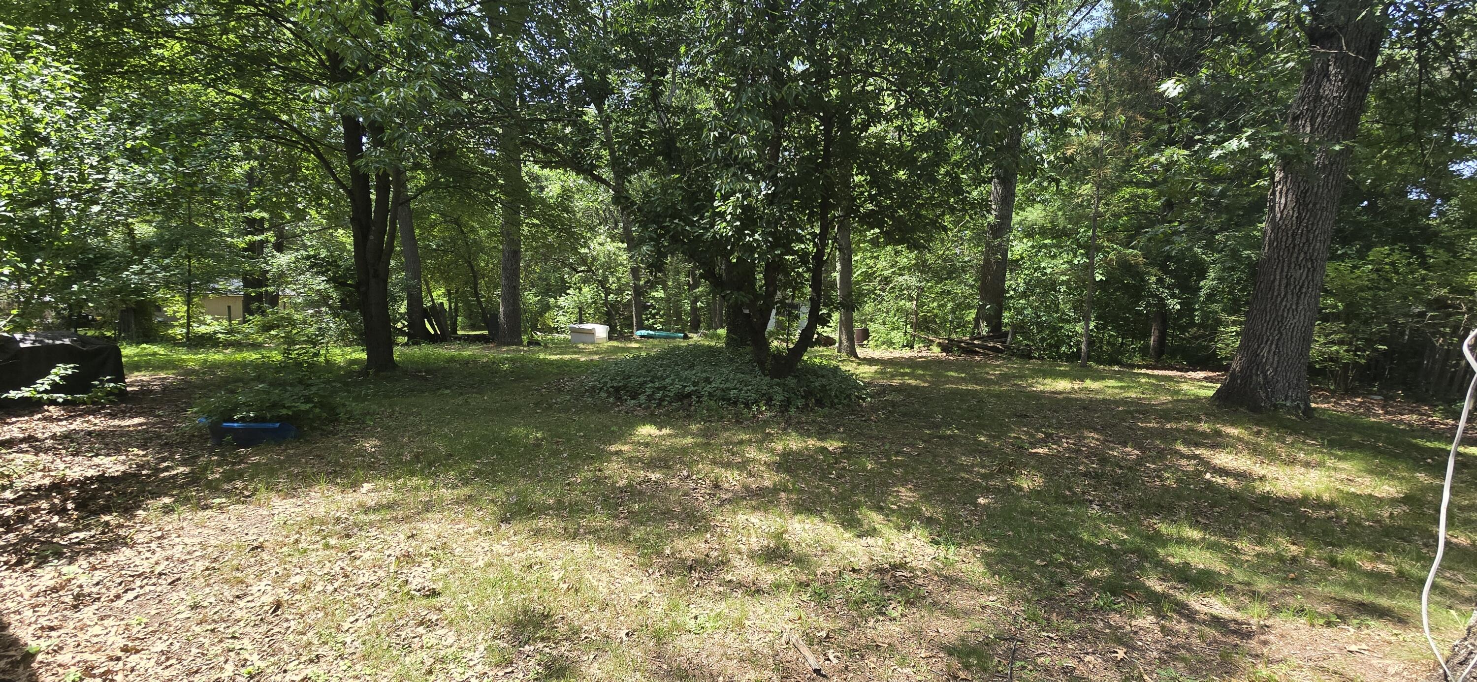 6155 Automobile Road Twin Lake, MI 49457 - Photo 12 of 12 Back yard