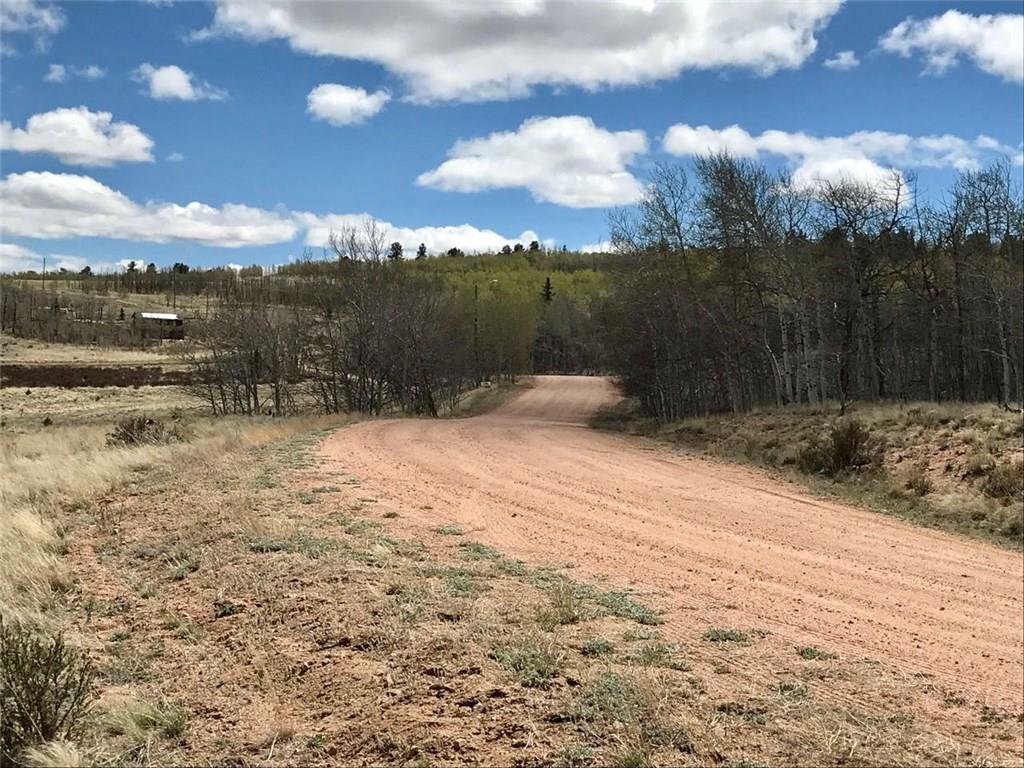 600 Pronghorn Drive Como, CO 80456 - Photo 4 of 6 a view of outdoor space yard and mountain view