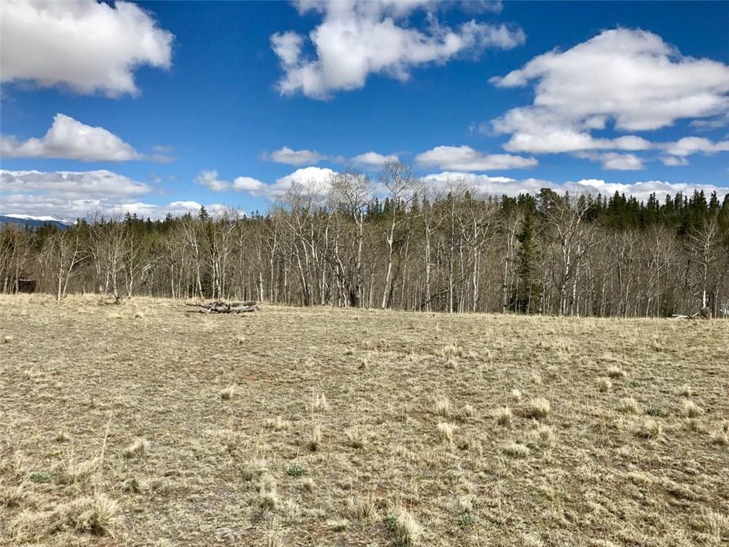 600 Pronghorn Drive Como, CO 80456 - Photo 6 of 6 a view of a yard next to a lake