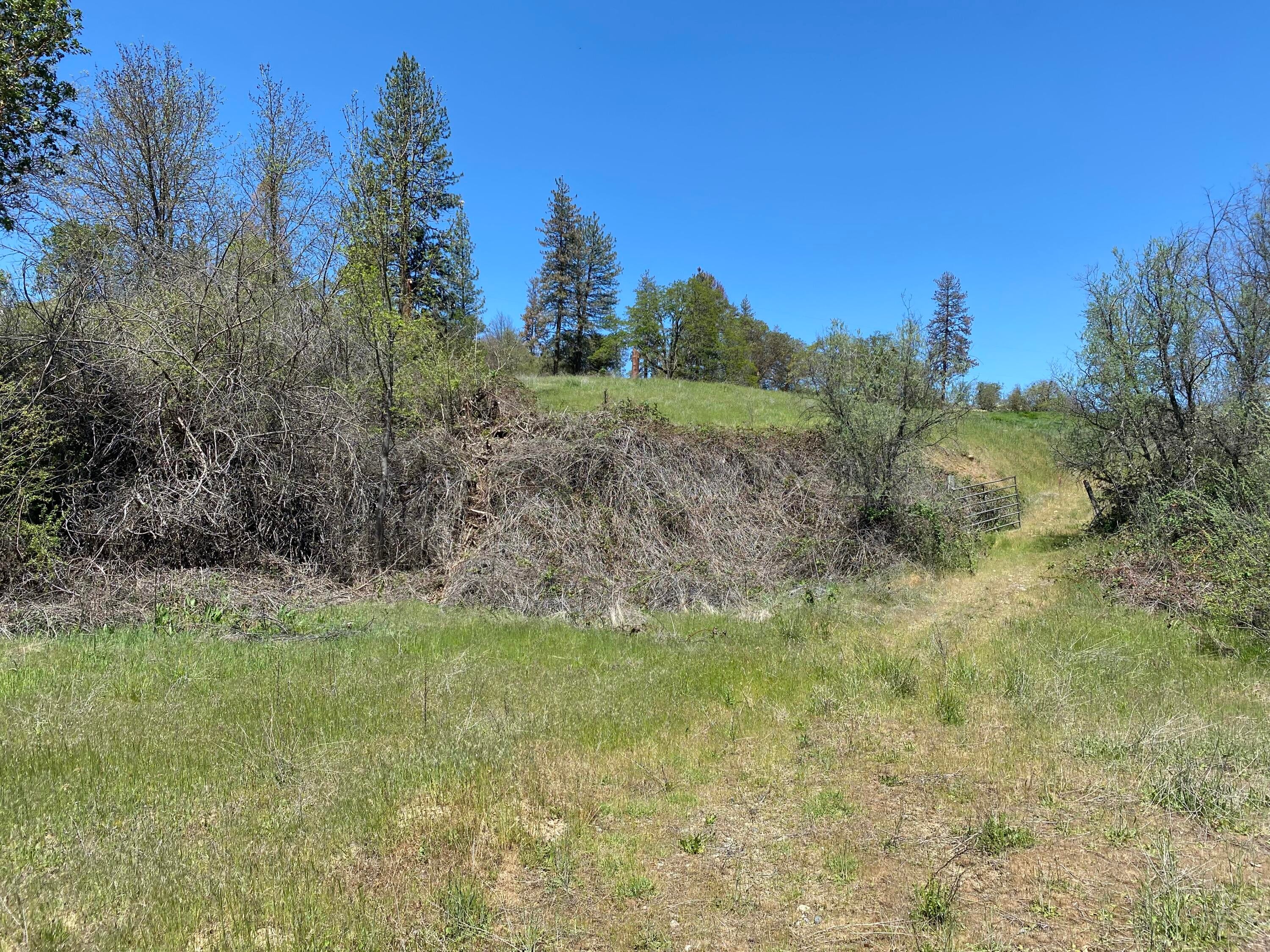 North Applegate Road Jacksonville, OR 97530 - Photo 16 of 51 from home site area to entry road