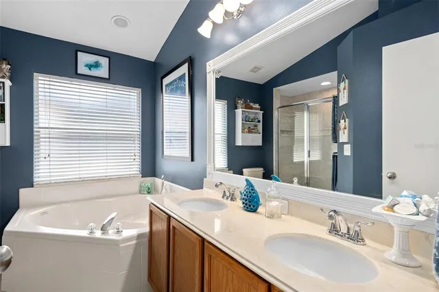 a bathroom with a granite countertop sink and a bathtub