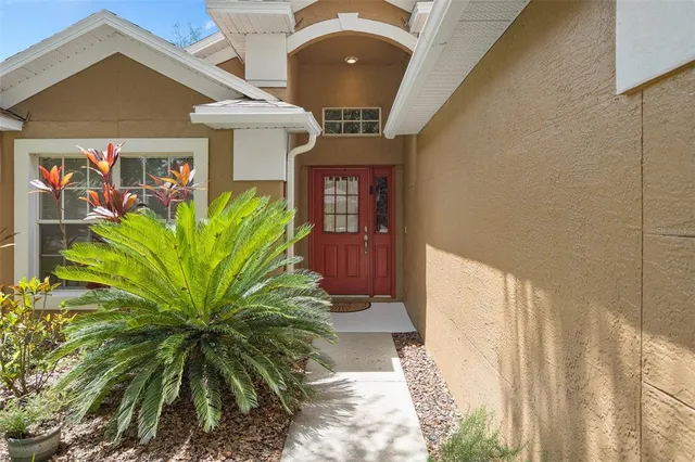 a front view of a house with glass windows and a potted plant