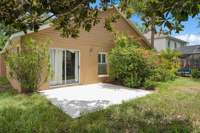 a backyard of a house with plants and palm tree