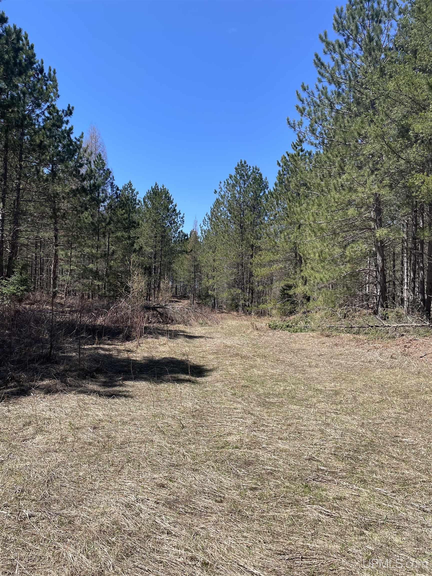 90 Rd Hermansville Mi 49847 Road Perronville, MI 49873 - Photo 16 of 21