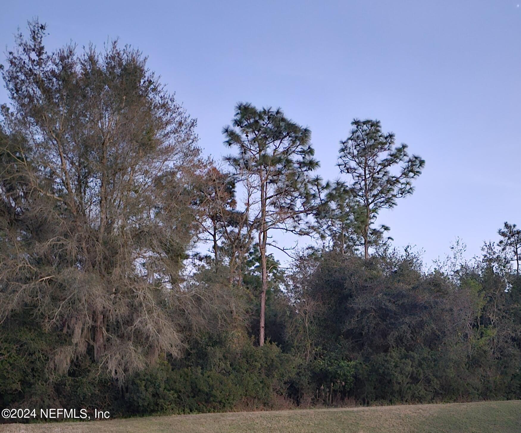 0 Jansen Road Jacksonville, FL 32257 - Photo 1 of 3 20240208_183458