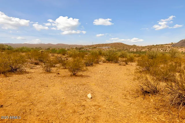 a view of a yard with lots of bushes
