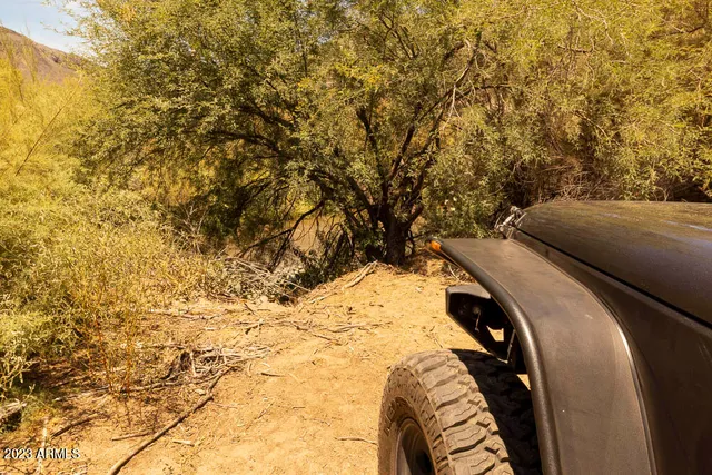 a view of a yard with a mountain