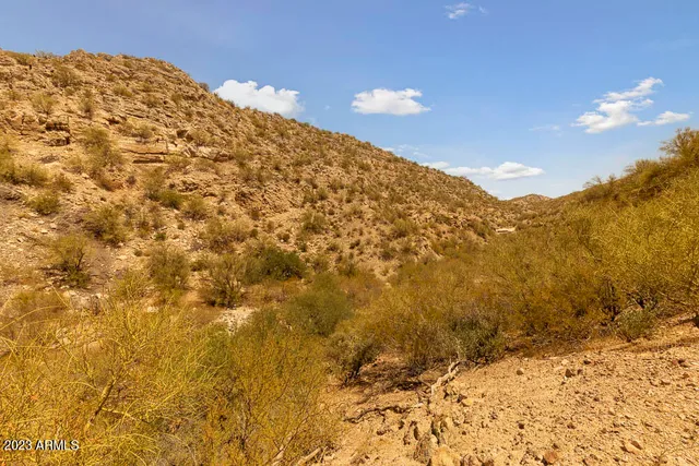 a view of a field with mountains in the background