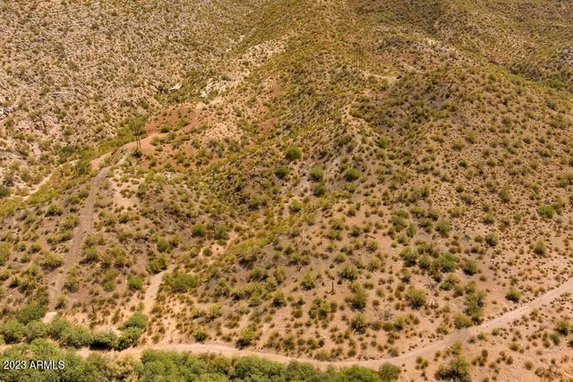 a view of a dry yard