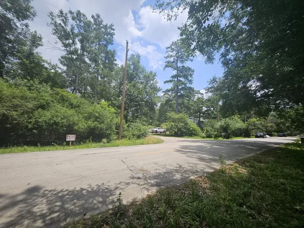 a view of a yard with a tree