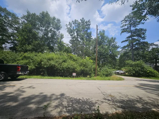 a view of a road with trees in the background