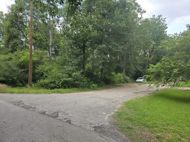 a view of a yard with a tree