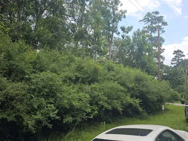 a car parked on the side of the road