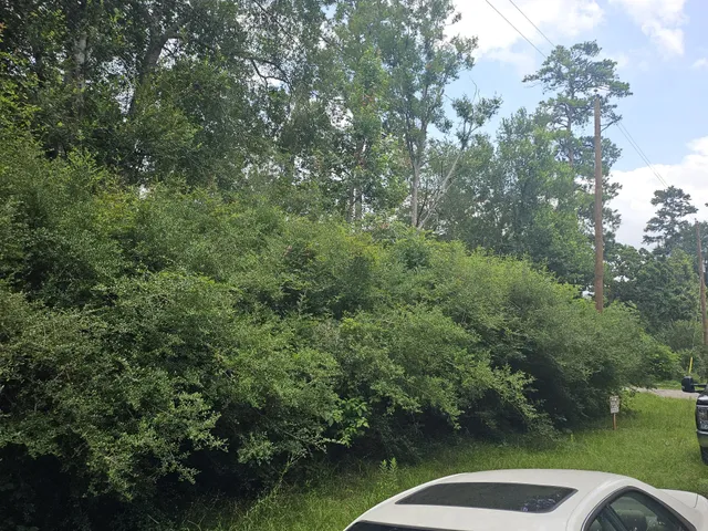 a car parked on the side of the road