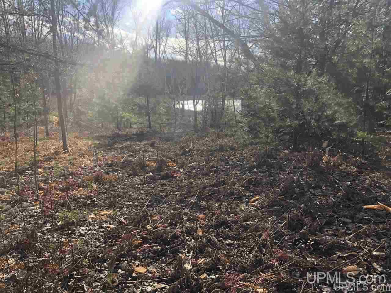 40 West Smith Lake Road Manistique, MI 49854 - Photo 7 of 24