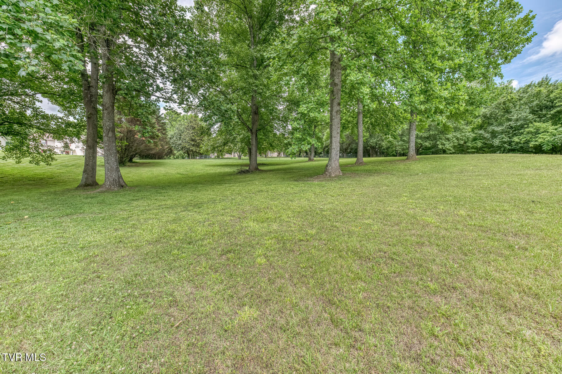 3935 Erwin Highway Afton, TN 37616 - Photo 76 of 83 3935 Erwin Hwy-62