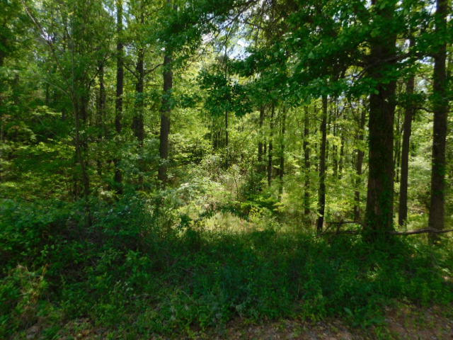 1677 Jean Road Thomson, GA 30824 - Photo 17 of 18 Gallery Image 17