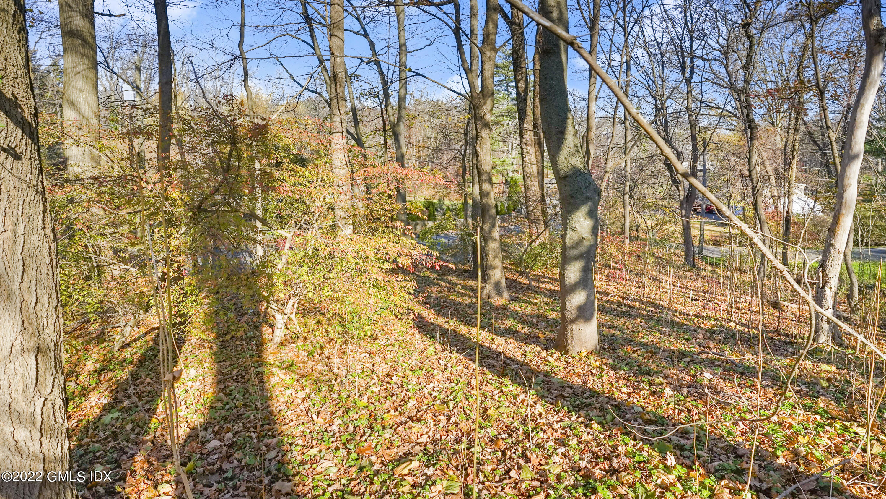 20 Hettiefred Road Greenwich, CT 06831 - Photo 7 of 10 20 Hettiefred Rd Greenwich CT-print-005-