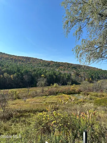 $120,000 | 1045 Highway 145, Broome, NY 12122