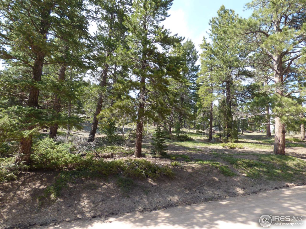 43 Tilghman Road Ward, CO 80481 - Photo 7 of 22 a view of dirt yard with green space