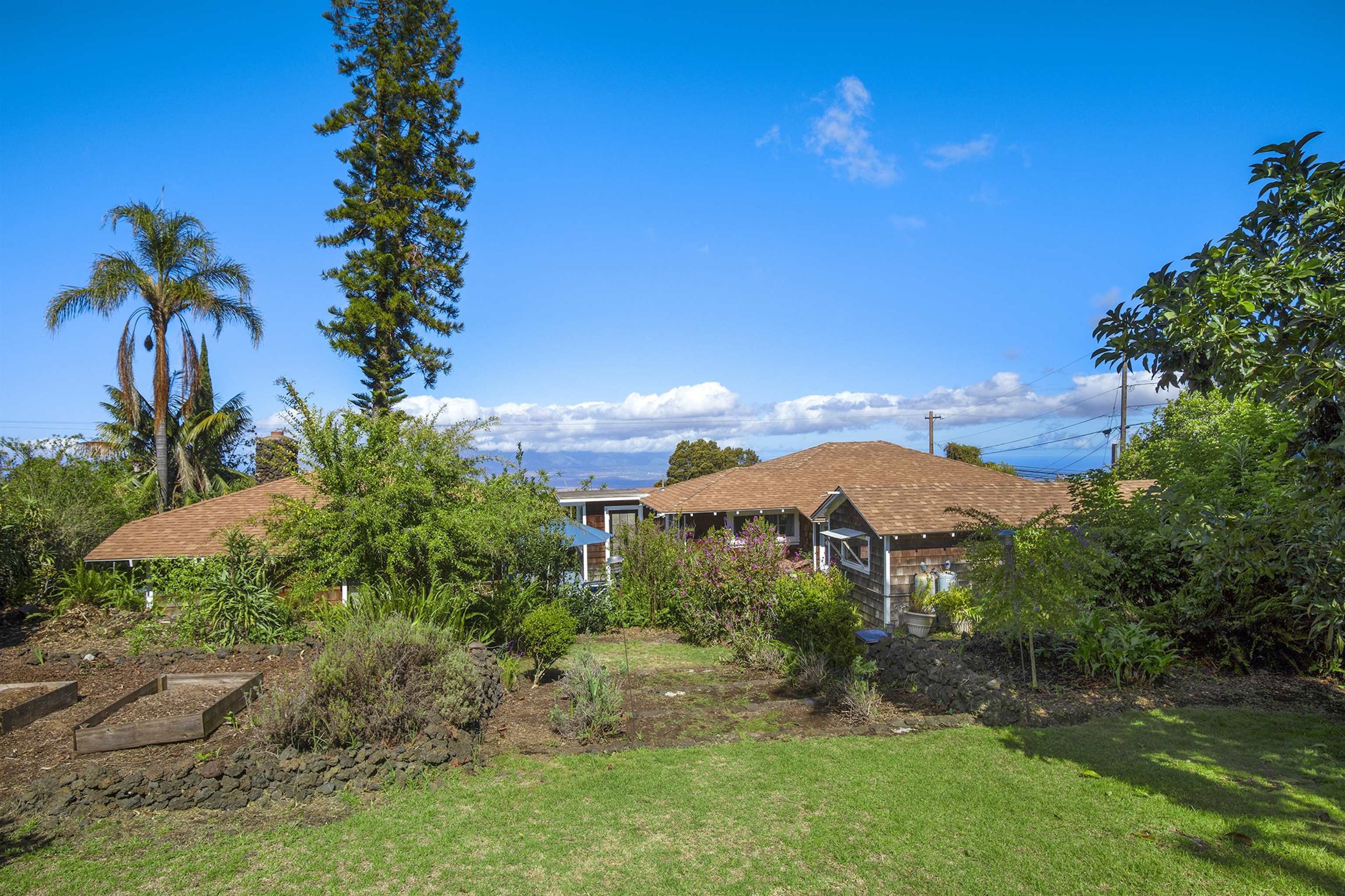 16 Maukanani Road Kula, HI 96790 - Photo 8 of 37 a view of a garden with a building in the background