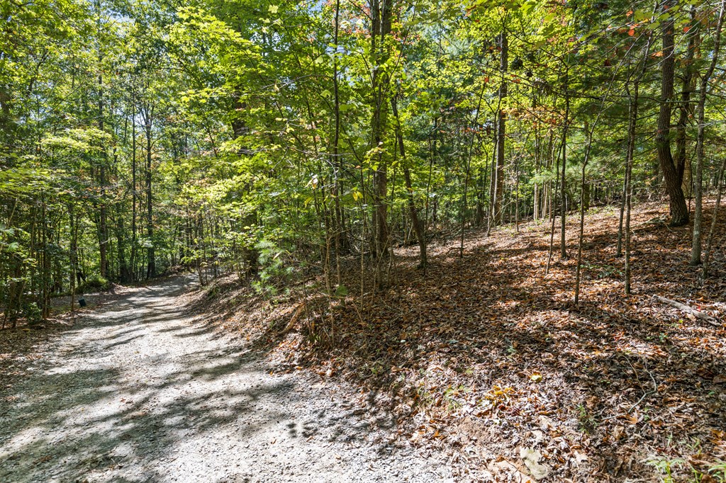 Lot 1-2 Timberlake Estates Blue Ridge, GA 30513 - Photo 7 of 20 Gallery Image 7