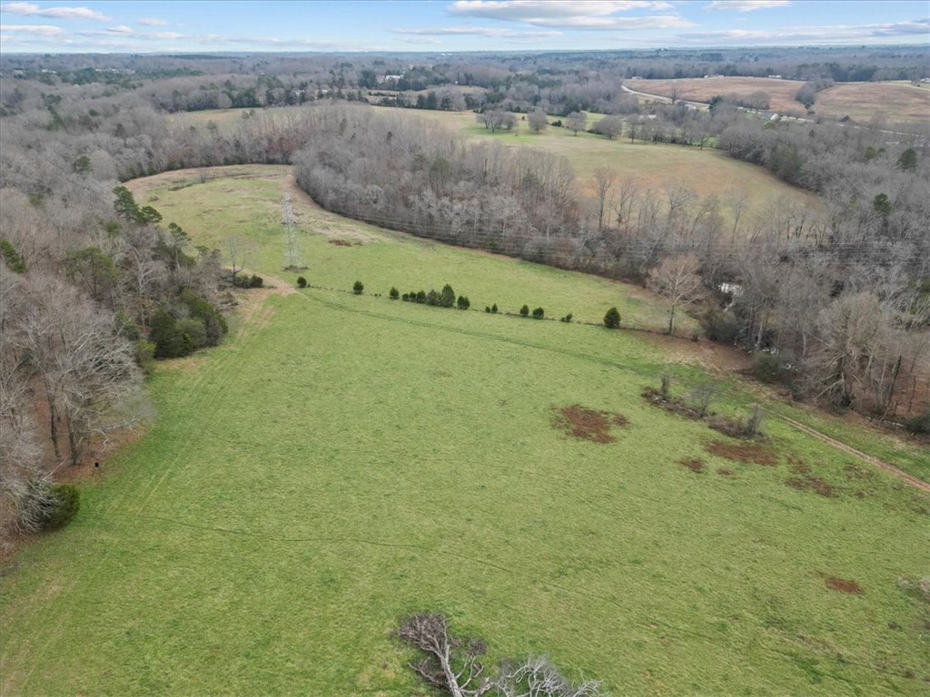 59.18-acres Gibson Road Anderson, SC 29625 - Photo 4 of 6 Gallery Image 4
