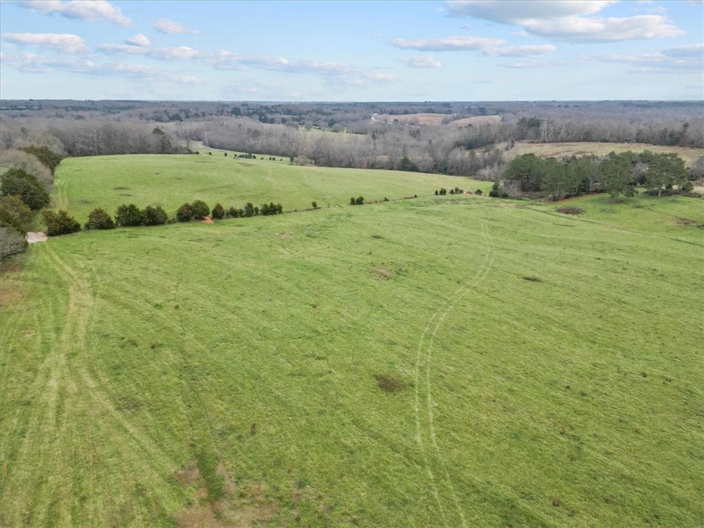 59.18-acres Gibson Road Anderson, SC 29625 - Photo 5 of 6 Gallery Image 5