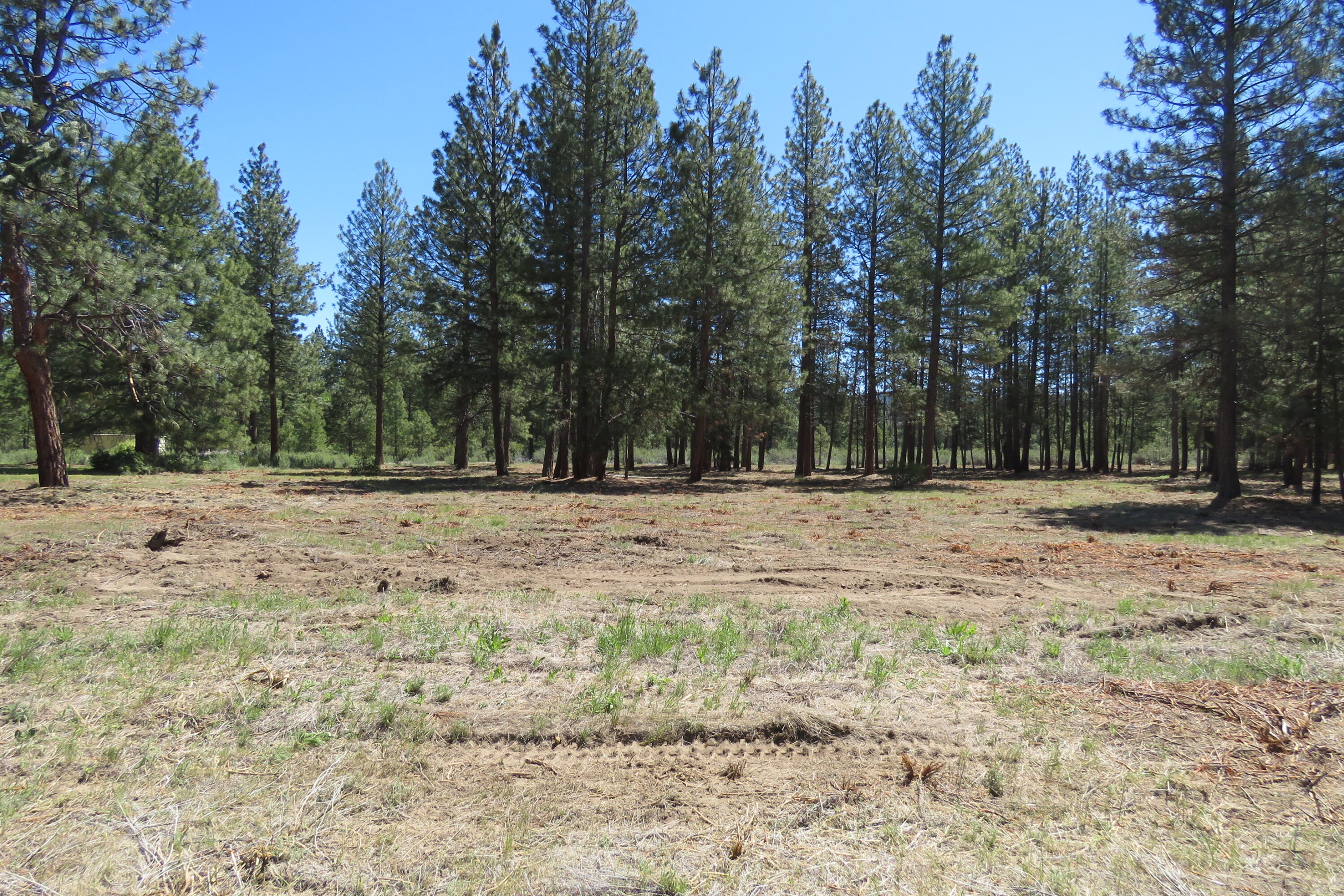 7 Castle Drive Chiloquin, OR 97624 - Photo 7 of 26 IMG_4599