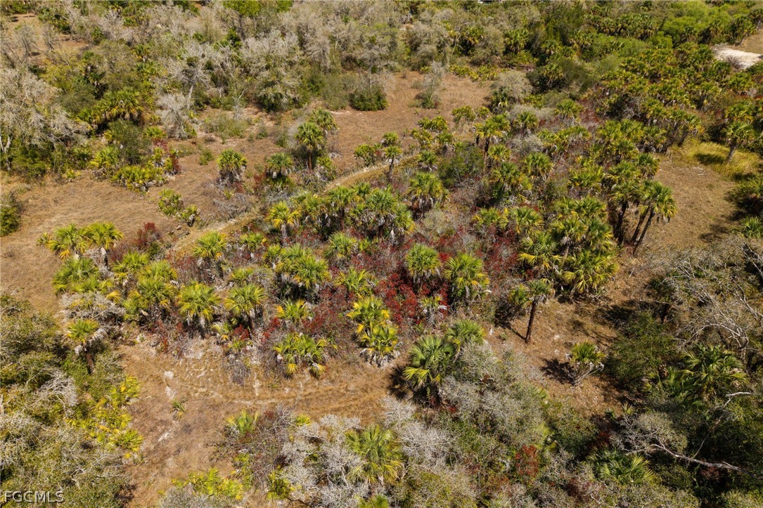 3751 Bateman Road Alva, FL 33920 - Photo 24 of 26 a view of a yard