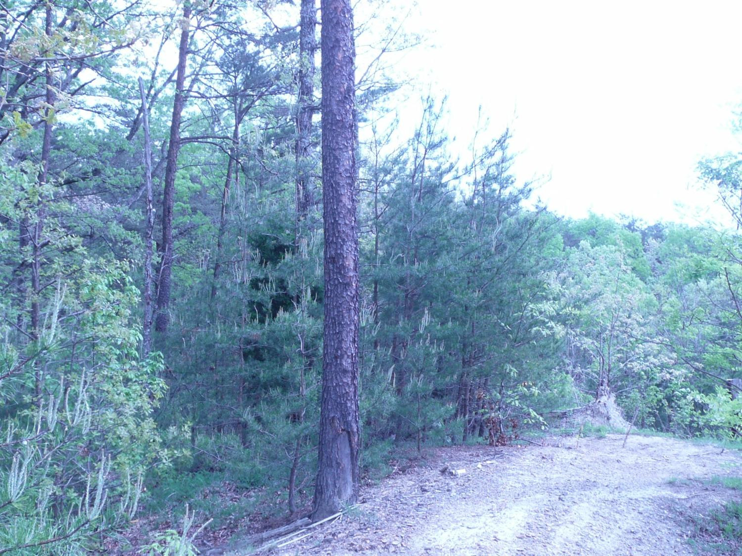 600 Hidden Valley Road Clay City, KY 40312 - Photo 14 of 35 Photo 14