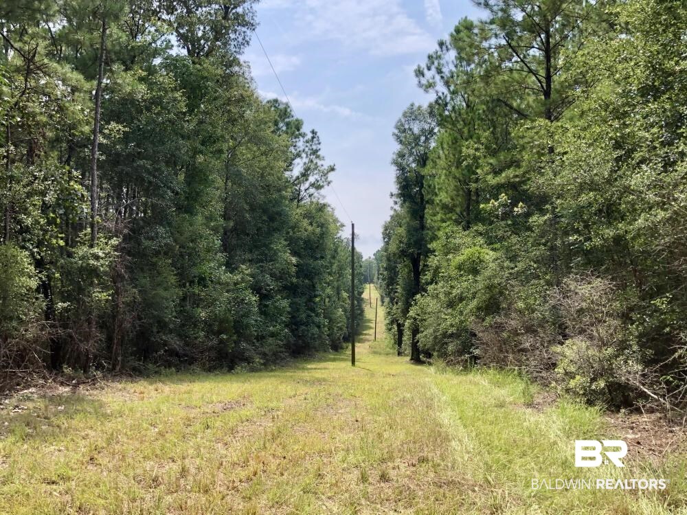 18560 Mason Street Citronelle, AL 36522 - Photo 1 of 45