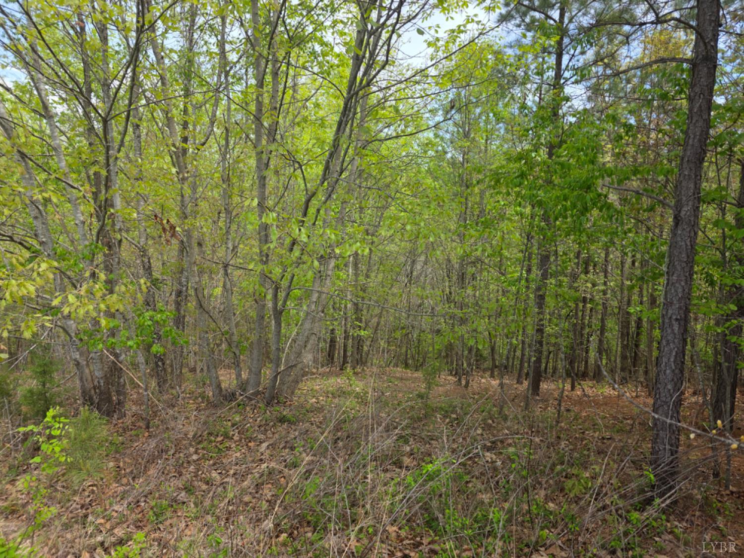 0 Gardner Farm Road Appomattox, VA 24522 - Photo 9 of 10