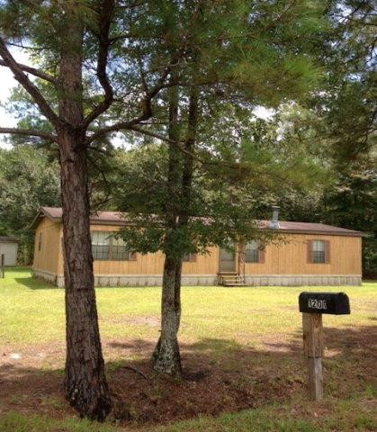 1201 Williamson Rd N East Townsend, GA 31331 - Photo 1 of 1