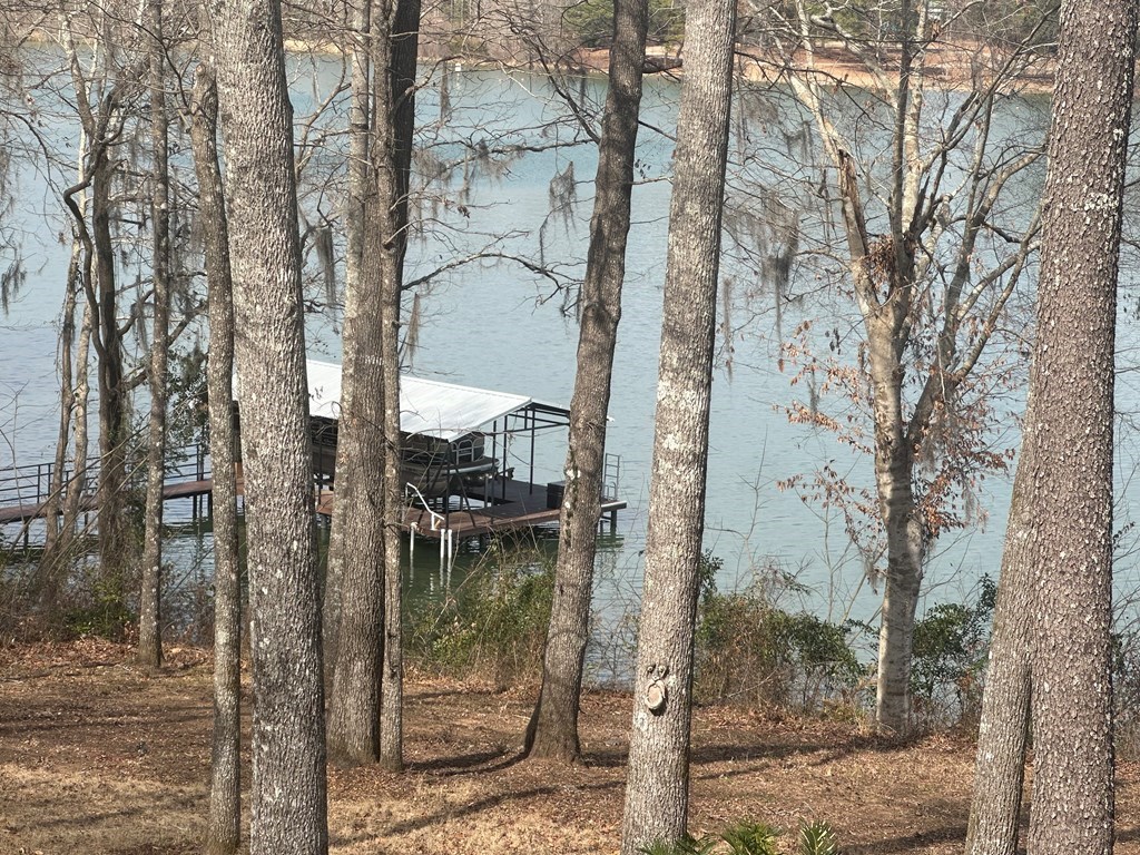 2422 County Road 97 Abbeville, AL 36310 - Photo 25 of 50