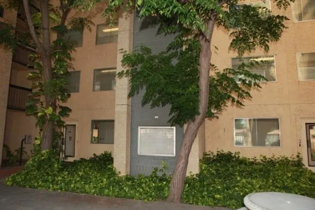 front view of a house with a garden