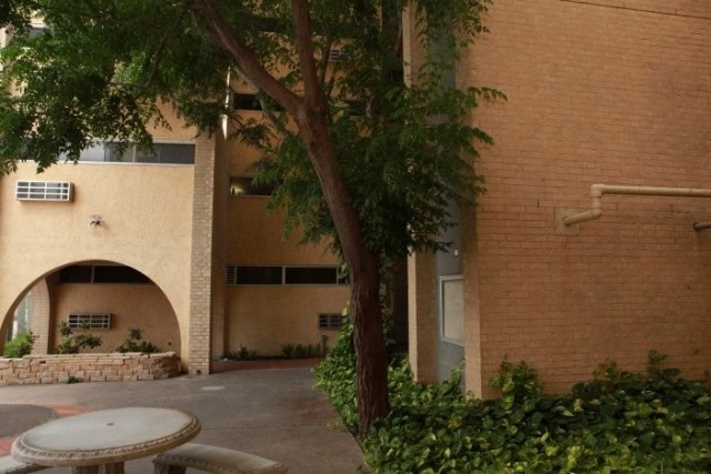 201 North 13th Avenue, Unit 100 Edinburg, TX 78541 - Photo 6 of 6 a view of house with yard and trees around