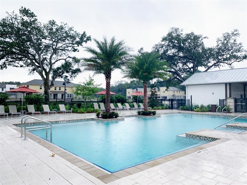 1480 Broad Wing Lane Winter Park, FL 32792 - Photo 14 of 17 a view of swimming pool with outdoor seating and trees in the background