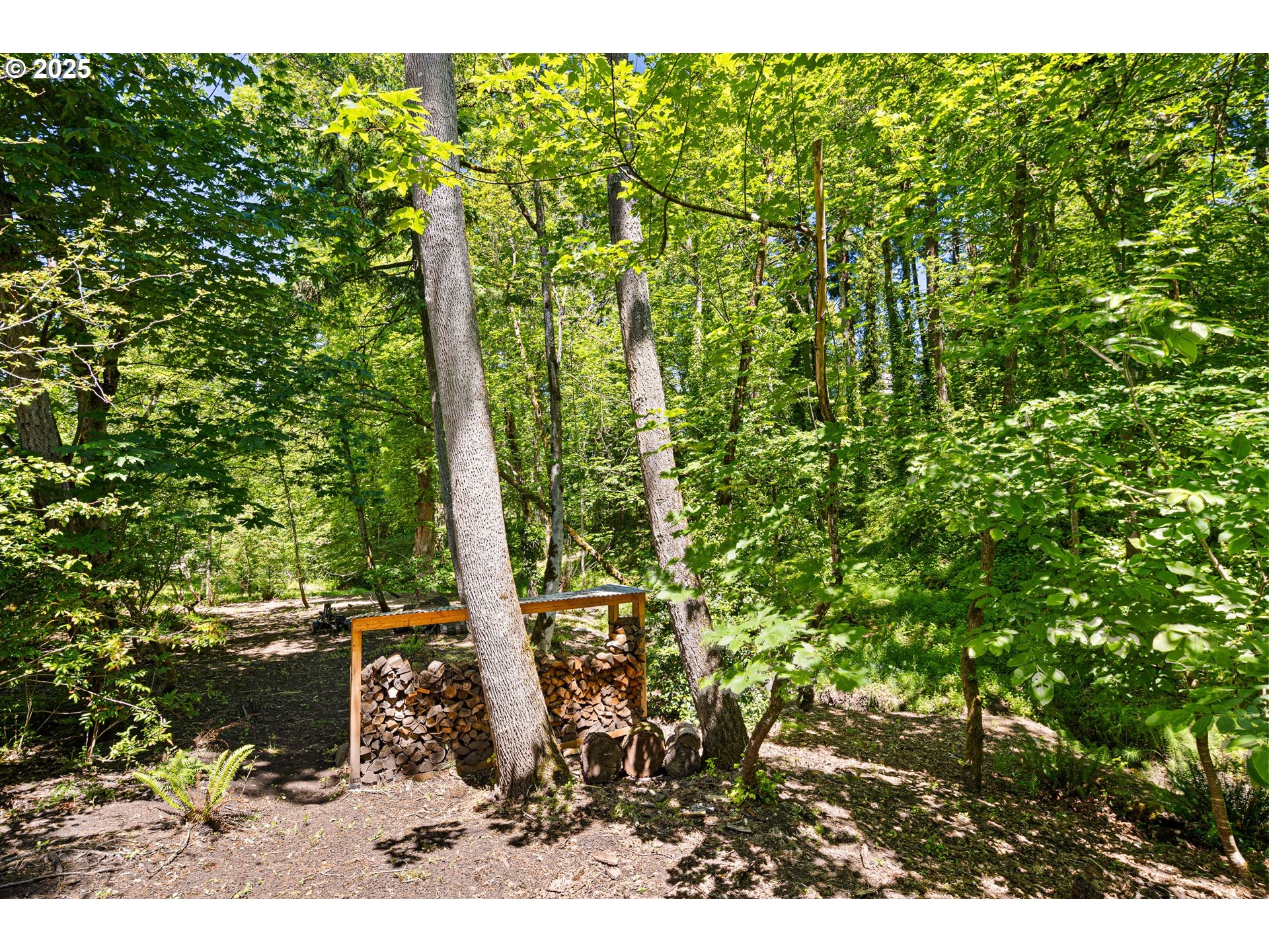 2977 Ingalls Way Eugene, OR 97405 - Photo 47 of 48 a view of outdoor space and yard
