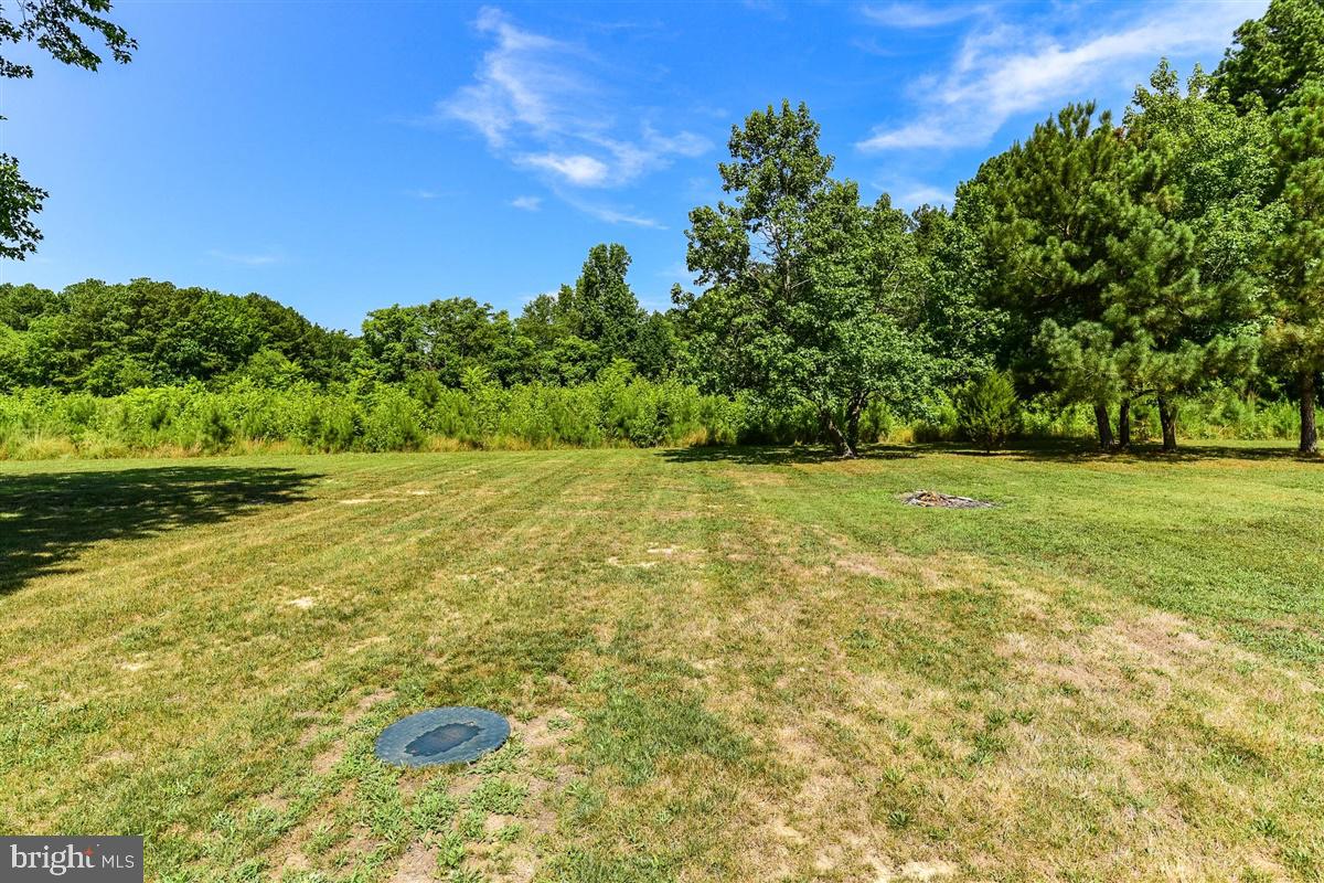 3850 Barkley Road Eden, MD 21822 - Photo 29 of 48 Back Yard