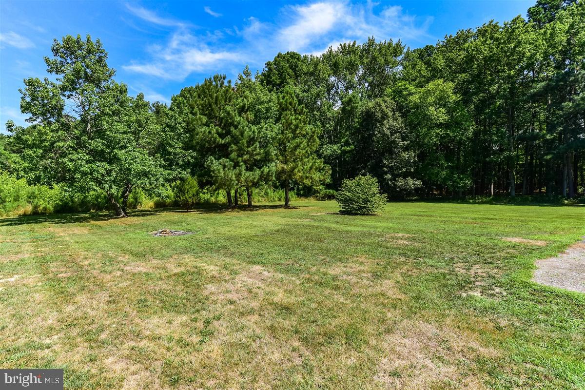 3850 Barkley Road Eden, MD 21822 - Photo 31 of 48 Back Yard