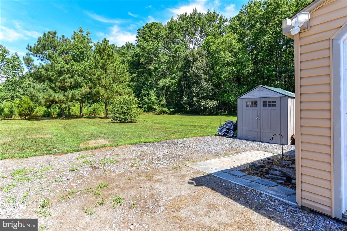 3850 Barkley Road Eden, MD 21822 - Photo 41 of 48 Drive way