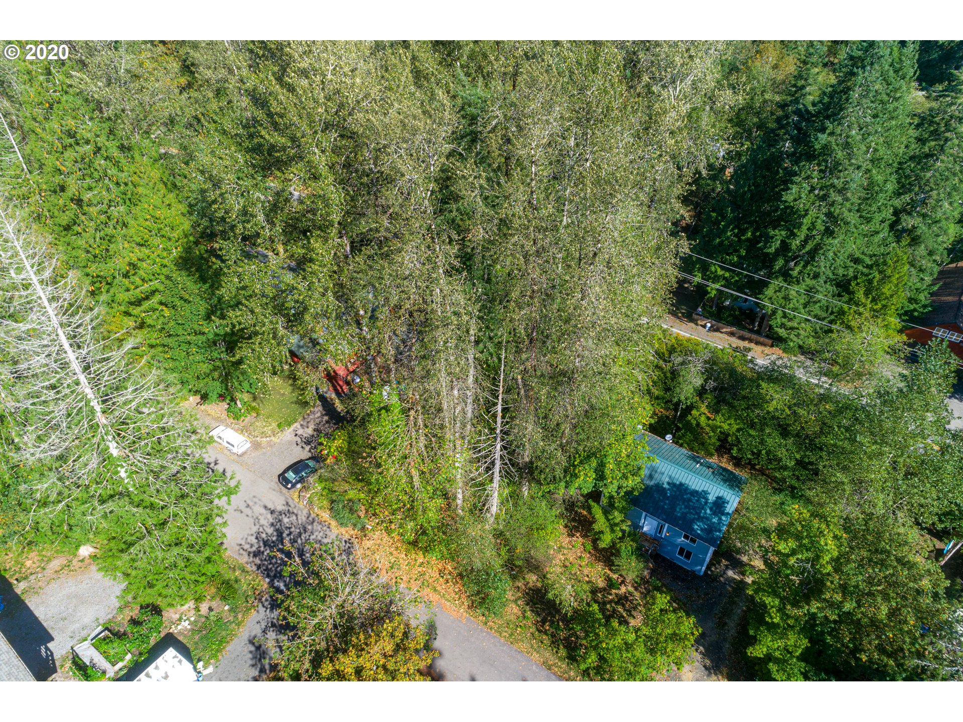 65667 East Timberline Drive Rhododendron, OR 97049 - Photo 3 of 11 Gallery Image 3