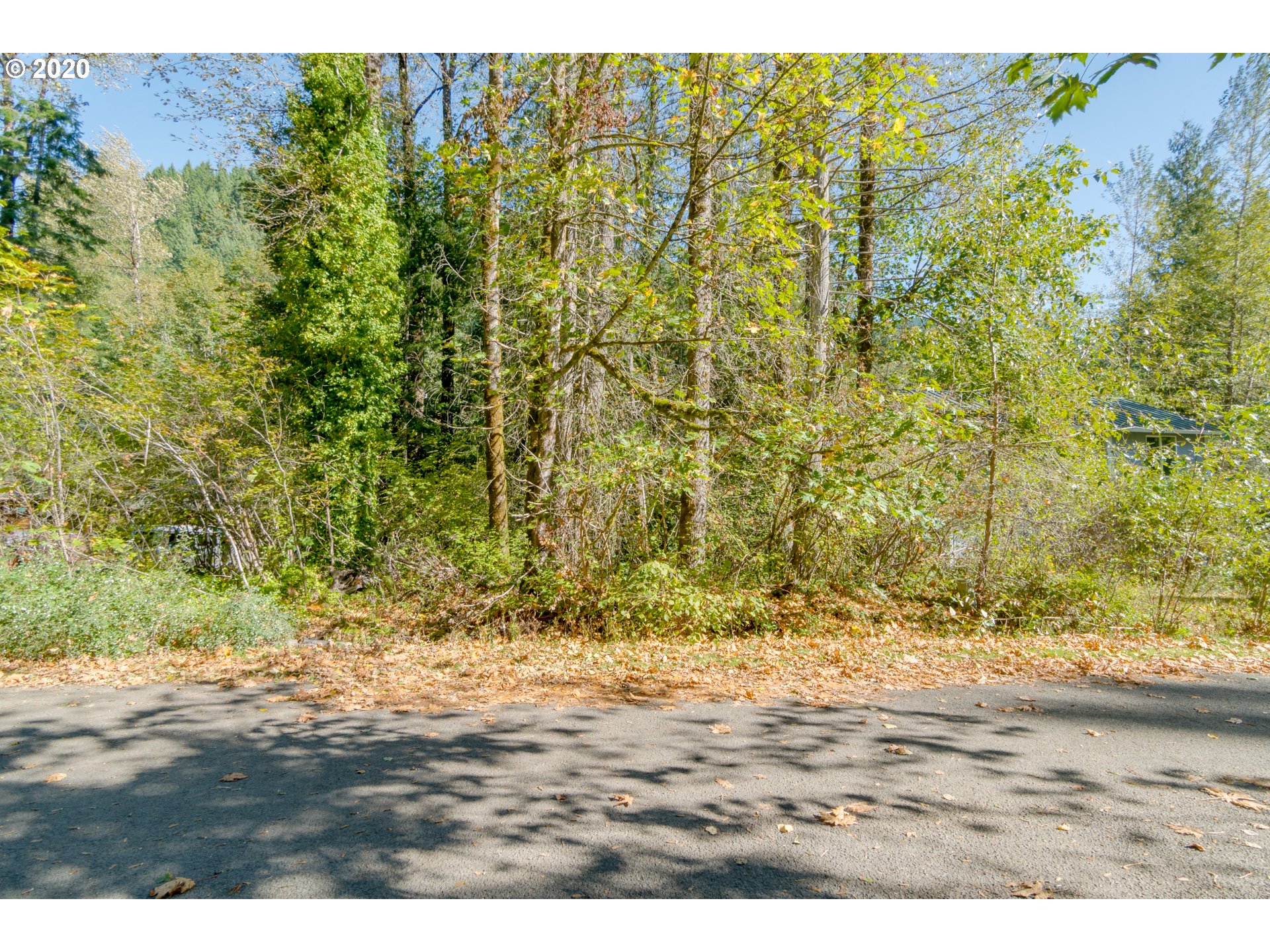 65667 East Timberline Drive Rhododendron, OR 97049 - Photo 8 of 11 Gallery Image 8