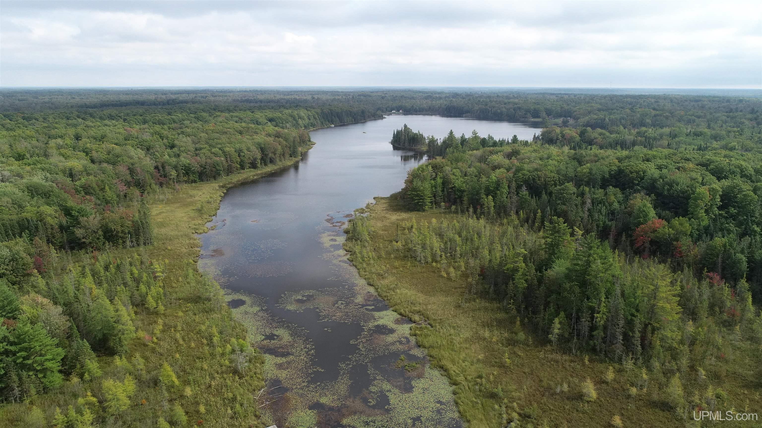 Tbd North Tbd N Powerline Road Germfask, MI 49836 - Photo 20 of 29