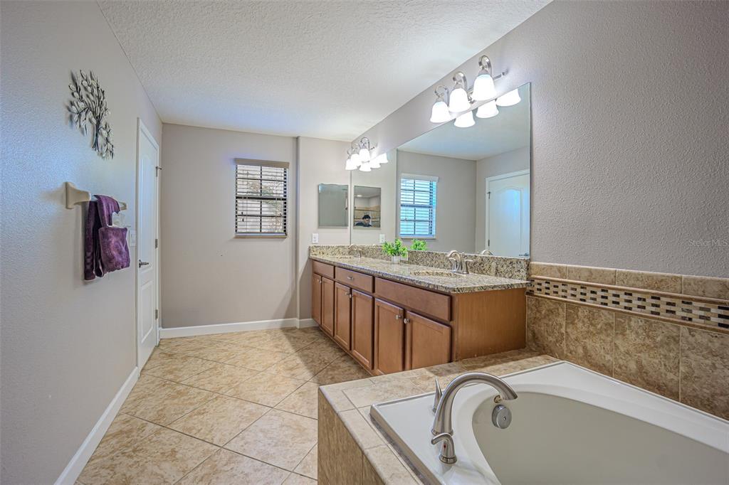 1762 Hadden Hall Place Trinity, FL 34655 - Photo 28 of 39 a bathroom with a sink a large mirror and a bathtub