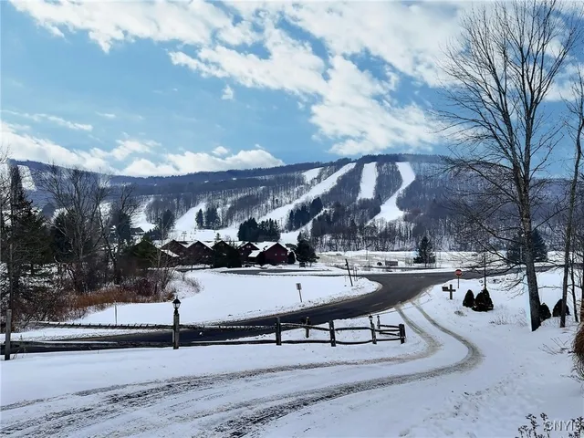 $395,000 | 1969 Kypriotis Drive, Virgil, NY 13045