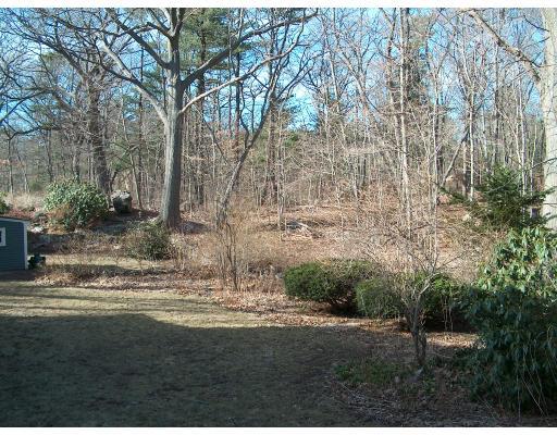 35 Lewis Road Swampscott, MA 01907 - Photo 3 of 9 Gallery Image 3