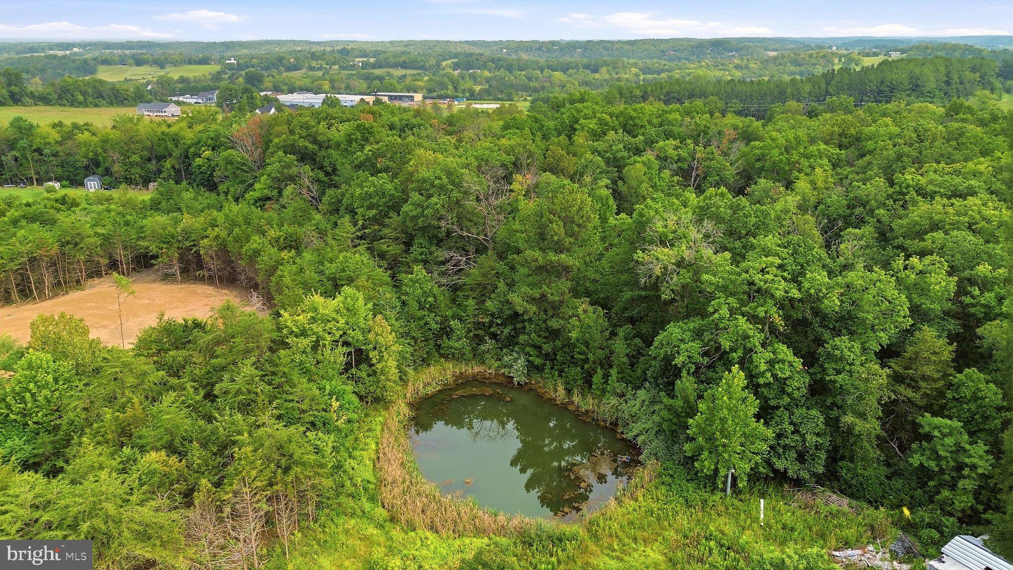 144 Messick Road Strasburg, VA 22657 - Photo 46 of 49 Aerial View